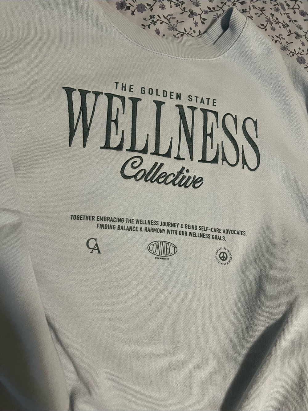 Wellness Collective Sweatshirt & Sweatpants Set - Baby Blue - Picture 6 of 8